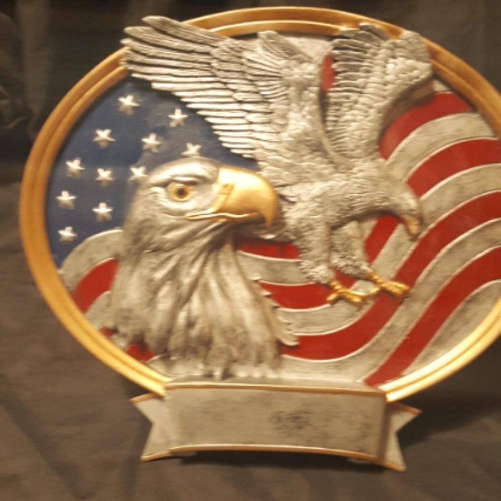 American flag and bald 🦅plaque can be hung up or set on a table
